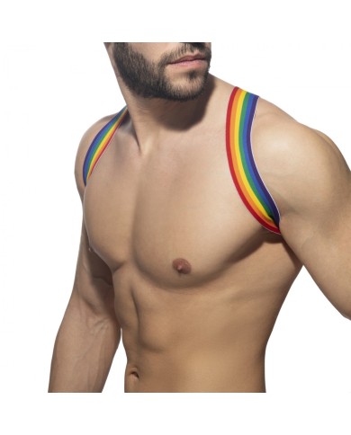 Addicted Rainbow Spider Harness AD1181