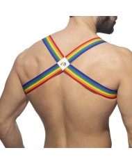 Addicted Rainbow Spider Harness AD1181