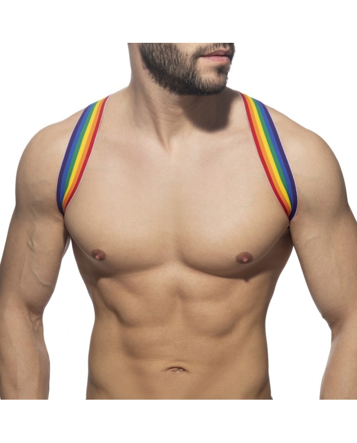 Addicted Rainbow Spider Harness AD1181