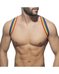 Addicted Rainbow Spider Harness AD1181