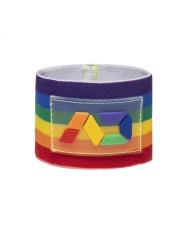 Addicted AD Rainbow Thick Wristband AD1121
