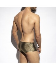 ES Collection Art Deco Metallic Trunk UN598