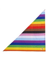 Addicted Inclusive Rainbow Scarf AD1307