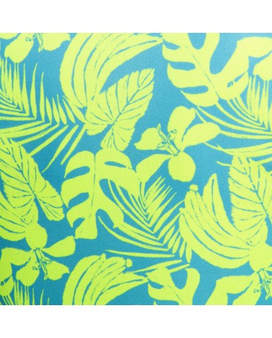 Addicted Calatheas Shorts AD1366