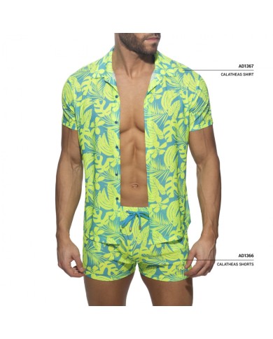 Addicted Calatheas Shorts AD1366