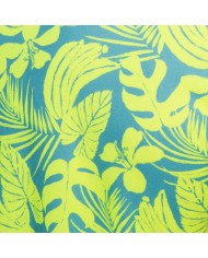 Addicted Calatheas Ing AD1367