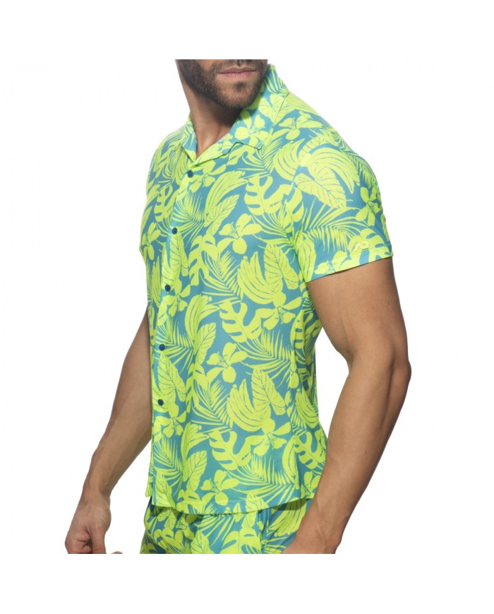 Addicted Calatheas Ing AD1367