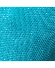 Addicted Glänzender Piqué Bade Slip AD1376