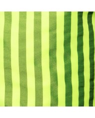 ES Collection Neon Gestreifte Badehose 2523
