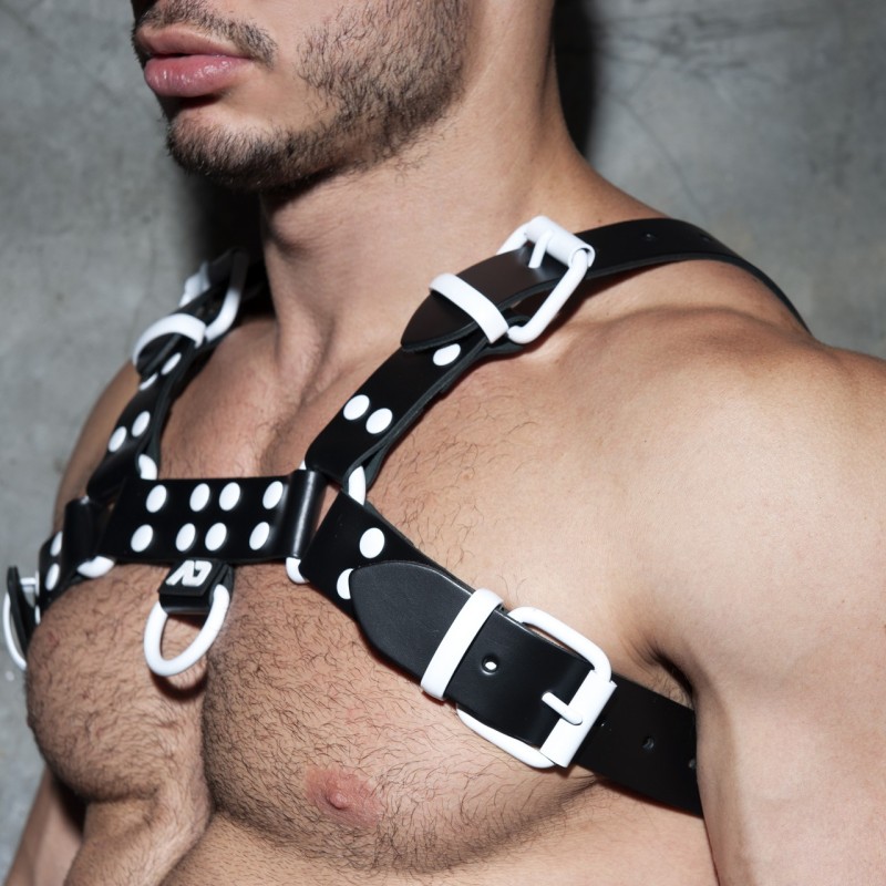 Addicted Buntes Leder Geschirr ADF119 | Addicted Österreich – schneller Versand