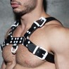 Addicted Leather Color Harness ADF119 | Addicted Austria – fast delivery