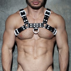 Addicted Leather Color Harness ADF119 | Addicted Austria – fast delivery