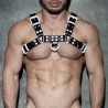 Addicted Leather Color Harness ADF119 | Addicted Austria – fast delivery