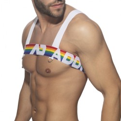 Addicted Rainbow Harness ADS1111 | Addicted Austria – fast delivery