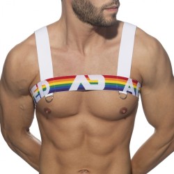 Addicted Regenbogen Geschirr AD1111 | Addicted Österreich – schneller Versand