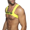 Addicted Neon Ring Harness AD1128 | Addicted Austria – fast delivery