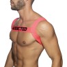 Addicted Neon Harness AD1127 | Addicted Austria – fast delivery