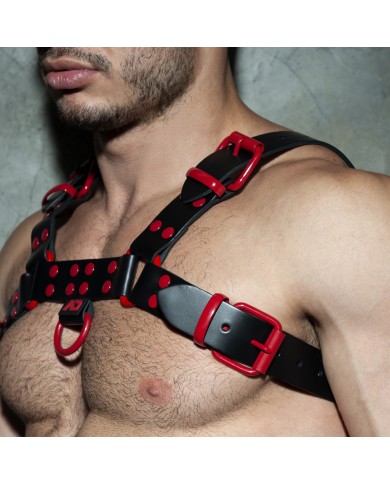 Addicted Buntes Leder Geschirr ADF119