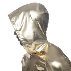 Addicted Gold&Silver Croptop AD1170 | Addicted Austria – fast delivery