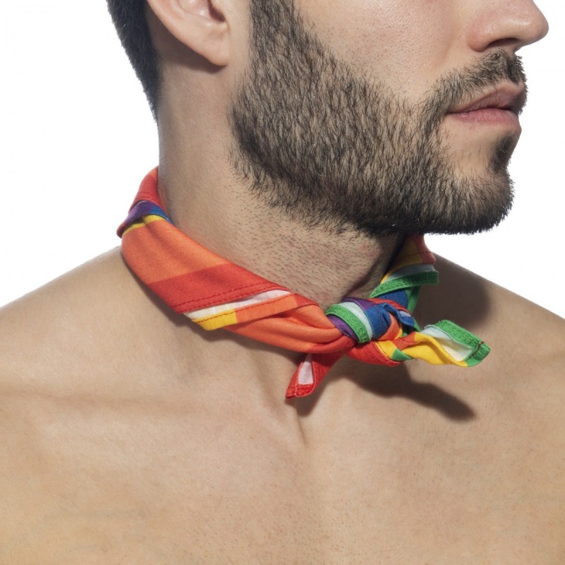 Addicted Rainbow Halsband AD1182 | Addicted Österreich – schneller Versand
