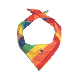 Addicted Rainbow Neckpiece AD1182 | Addicted Austria – fast delivery