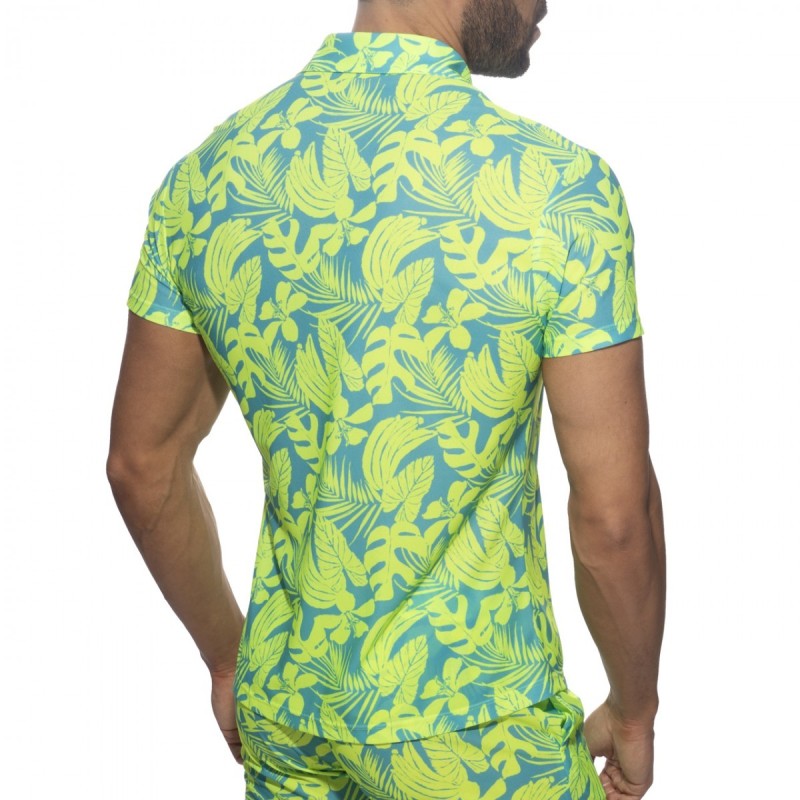 Addicted Calatheas Ing AD1367 | Addicted Austria – fast delivery
