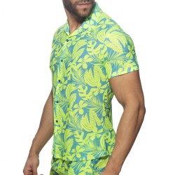 Addicted Calatheas Ing AD1367 | Addicted Österreich – schneller Versand