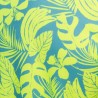 Addicted Calatheas Ing AD1367 | Addicted Österreich – schneller Versand