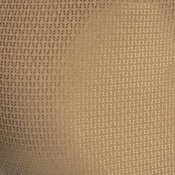 ES Collection Radiant Gold Bikini Brief UN634 | Addicted Austria – fast delivery