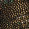 Addicted Gold Stones Trunk ADP21 | Addicted Austria – fast delivery