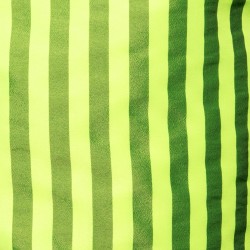 ES Collection Neon Stripes Boardshorts 2523 | Addicted Austria – fast delivery