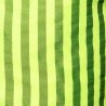 ES Collection Neon Gestreifte Badehose 2523 | Addicted Österreich – schneller Versand
