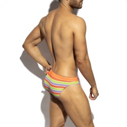 ES Collection 70's Stripes Swim Bikini Brief 2611 | Addicted Austria – fast delivery