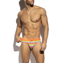 ES Collection 70's Stripes Swim Bikini Brief 2611 | Addicted Austria – fast delivery