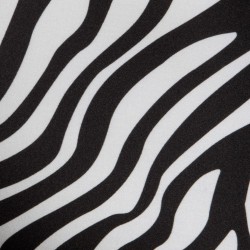 Addicted Zebra Fresh Trunk AD2283 | Addicted Austria – fast delivery