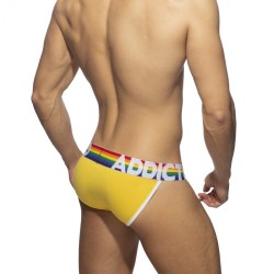 Addicted 6 Pack Rainbow Bikini AD1146 | Addicted Austria – fast delivery