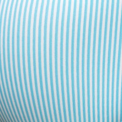 Addicted Baby Stripes Swim Bikini Brief ADS400 | Addicted Austria – fast delivery