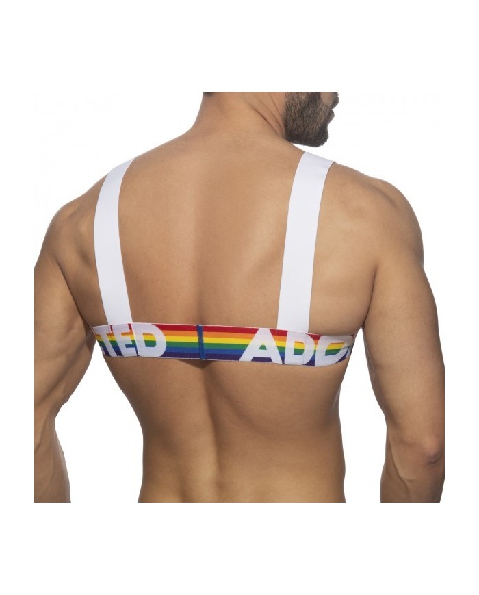 Addicted Regenbogen Geschirr AD1111