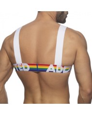 Addicted Regenbogen Geschirr AD1111