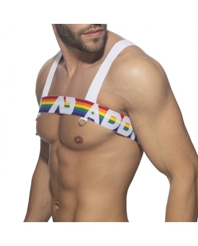 Addicted Regenbogen Geschirr AD1111