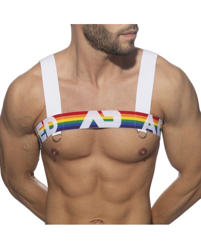 Addicted Regenbogen Geschirr AD1111