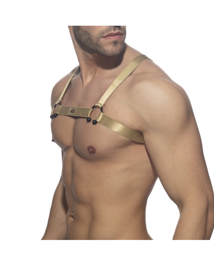 Addicted Bull Ring Harless AD1080