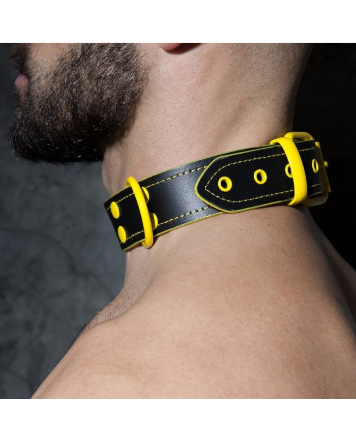 Addicted Mehrfarbiges Lederhalsband ADF44