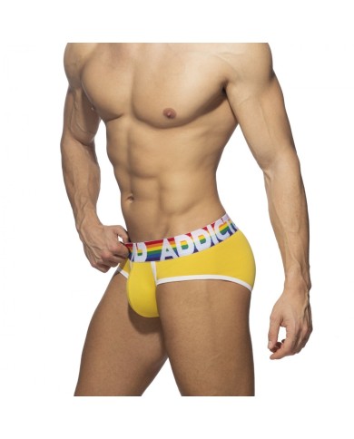 Addicted 6er-Pack Regenbogen-Slip AD1142P