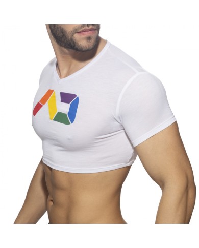Addicted Rainbow Croptop AD1172