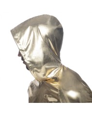 Addicted Gold&Silver Croptop AD1170