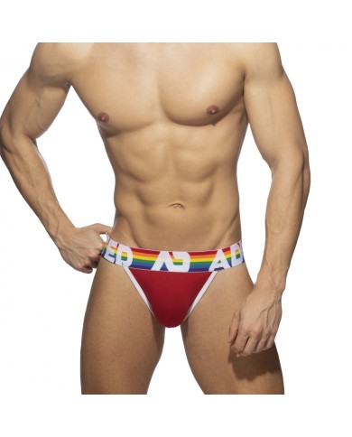 Addicted 6 Pack Rainbow Bikini AD1146