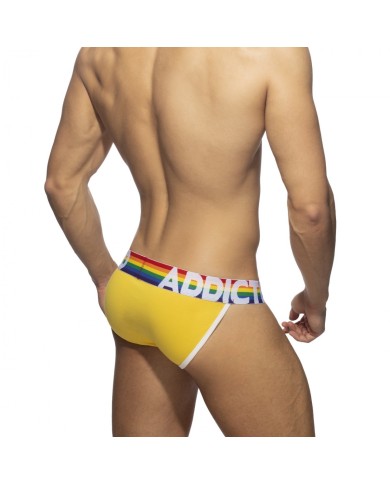 Addicted 6 Pack Rainbow Bikini AD1146