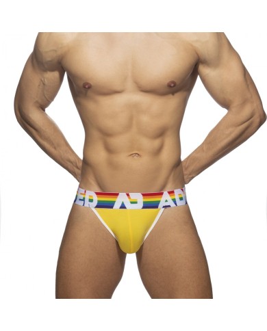 Addicted 6 Pack Rainbow Bikini AD1146