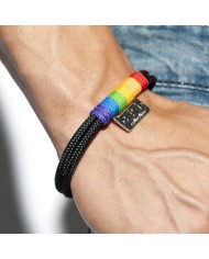 Addicted Regenbogen Geschirr AD1111